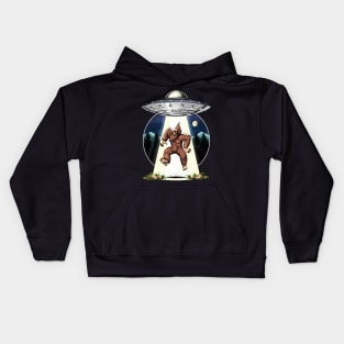 Bigfoot Alien Abduction Kids Hoodie